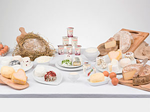 Fromages, œufs et produits laitiers