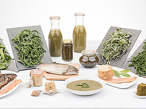 Poissons, crustacés et produits de la mer